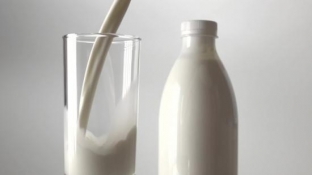 В России отменили норму выдачи молока «за вредность»