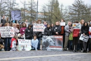 Сургут присоединится к Всероссийскому митингу в защиту животных