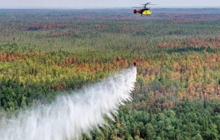В Югре ввели режим повышенной готовности из-за лесных пожаров