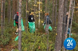 Почти четыре тонны мусора собрали жители Сургута на субботнике «Чистые игры»