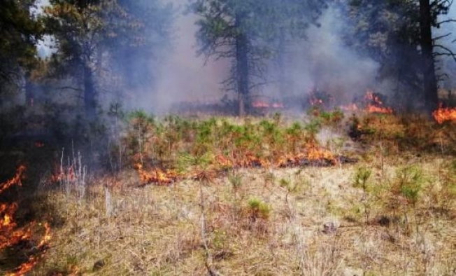 В Сургутском районе определились, кто будет ликвидировать возможные ландшафтные пожары