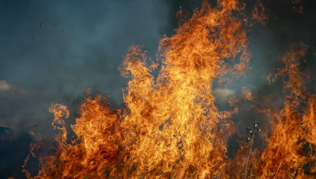 В УрФО зарегистрировали первые лесные пожары