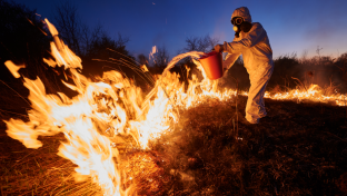 В Югре площадь лесных пожаров продолжает расти