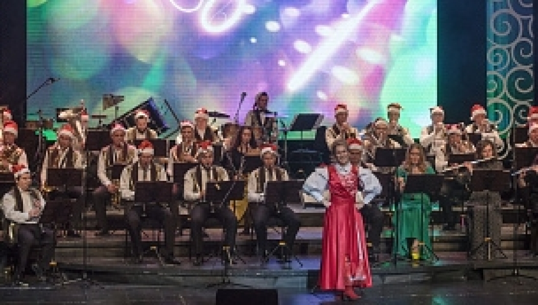 Премьера концертной программы «Новогодник»