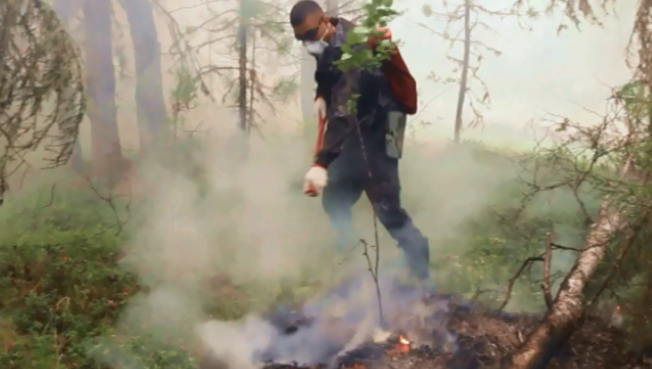 В Югре горит более 110 тысяч гектаров леса
