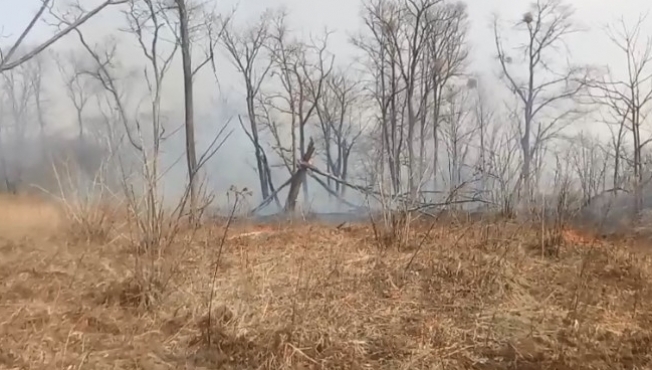 Пожары в Тюменской области стали причиной смога в Сургуте