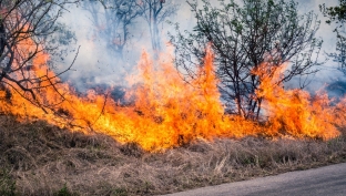 В Югре из-за лесных пожаров вновь введен режим ЧС