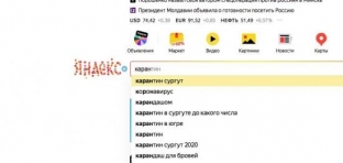 Карантин, пропуск, Конституция. Аналитики «Яндекса» назвали слова года