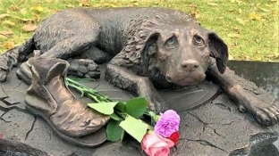 Художница из Югры стала автором памятника бездомным животным в Москве