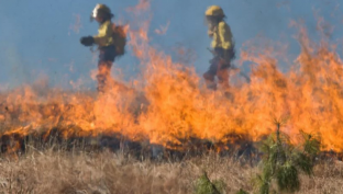 В Сургутском районе зарегистрирован первый природный пожар в этом году