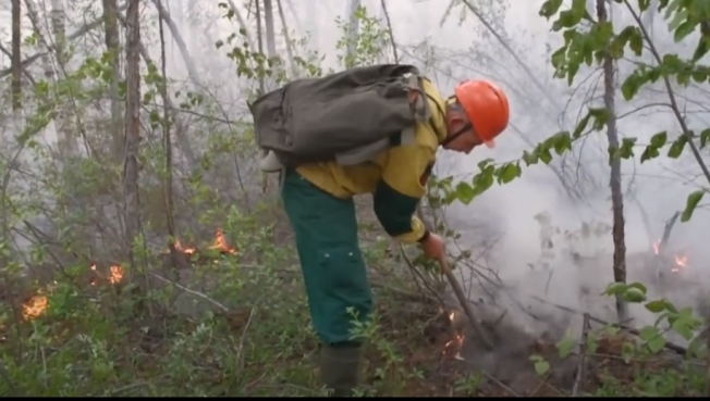 В Югре продолжают гореть леса