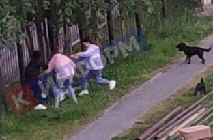 В Сургуте толпа женщин напала на гуляющую с собакой сургутянку