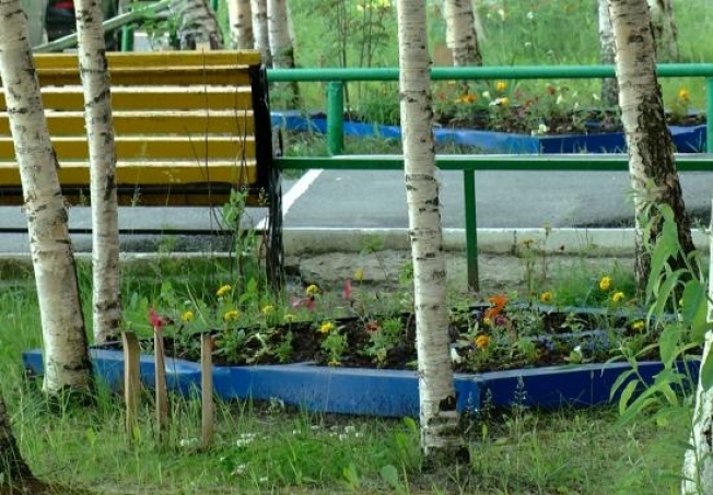 Почти три миллиона рублей получили сургутские ТОСы на озеленение дворов в этом сезоне