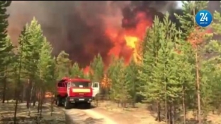 Защитить от огня. В Югру едут федеральные министры, чтобы обсудить ситуацию с лесными пожарами