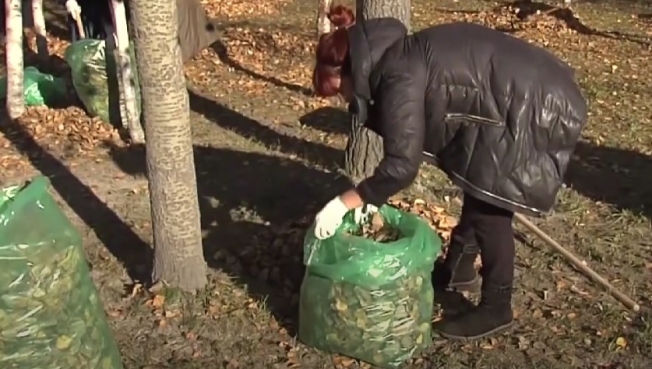 Сургутские чиновники очистили город от мусора