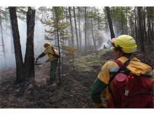 В Югре все крупные лесные пожары ликвидированы. Площадь горения сейчас – 656 гектаров
