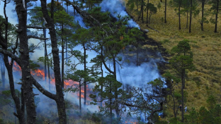 В Югре с 22 апреля начнется пожароопасный сезон