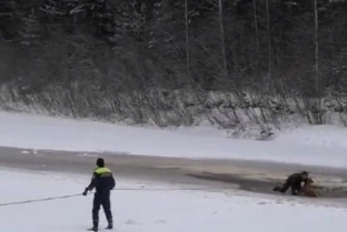 Провалилась под лед. Югорские спасатели вытащили из полыньи собаку