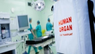 В Сургуте обсудят возможности трансплантологии