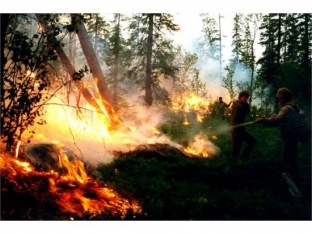 Площадь лесных пожаров в Югре снизилась до 4 тысяч гектаров