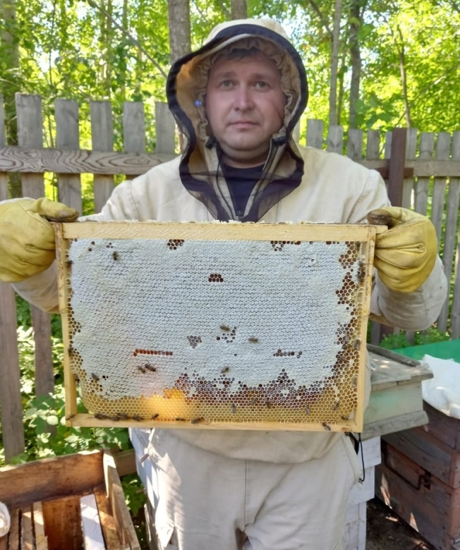 Пчеловодство в Югре – миф или реальность?