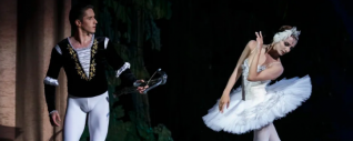 «Лебединое озеро»: Чайковский в классической хореографии