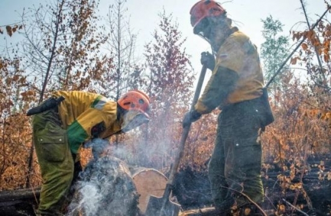 В Югре за выходные потушили пять лесных пожаров