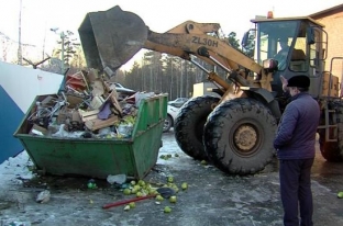 В Сургуте уничтожили санкционные груши из Польши