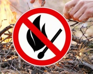 В четырех муниципалитетах Югры введен особый противопожарный режим