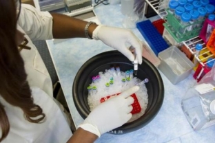 Эпидемиологи установили источник китайского коронавируса