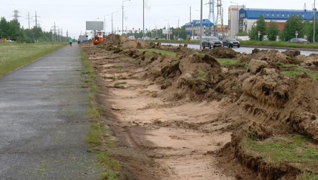 В Сургуте обновят почти 30 тысяч квадратных метров газонов