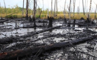 В Югре в результате аварии произошел разлив нефти