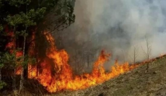 Ситуация с пожарами в Тюменской области остается напряженной