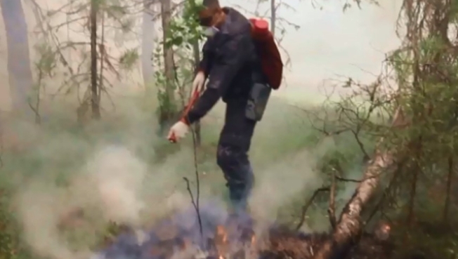В Югре снова горят леса, смог от пожаров дошел до Сургута