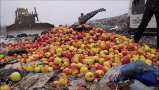 В Сургуте уничтожили более тонны запрещенных продуктов