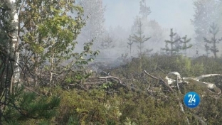 В Сургутском районе в дачном кооперативе «Тихое» снова загорелся лес