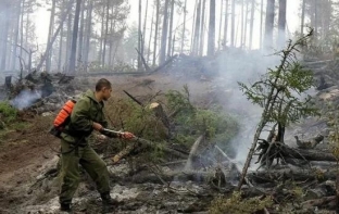 В Югре действует восемь лесных пожаров