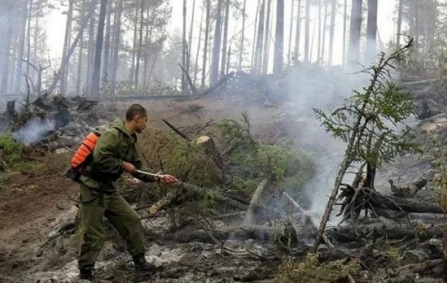 В Югре действует восемь лесных пожаров